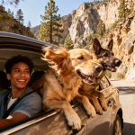 Driving down Highway 180 to Roads End is a great trip for dogs who love to smell the air.