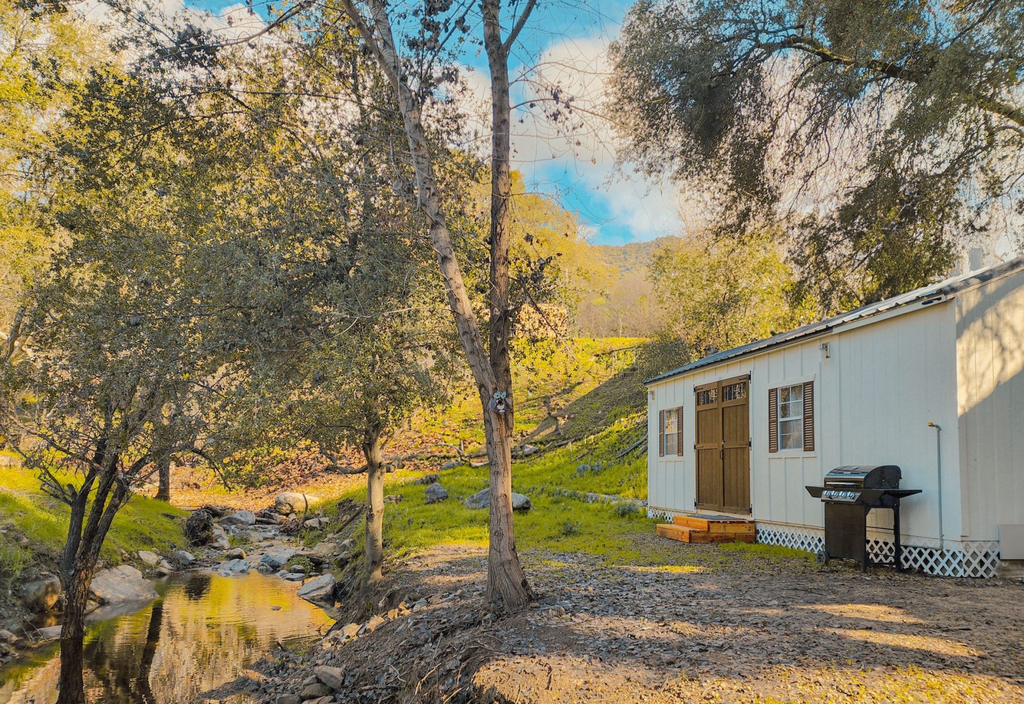 chalet 1 (1)